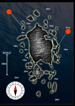Shark Island – Koh Tao dive site