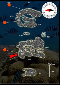 Twin Peaks / Buoyancy World – Koh Tao dive site